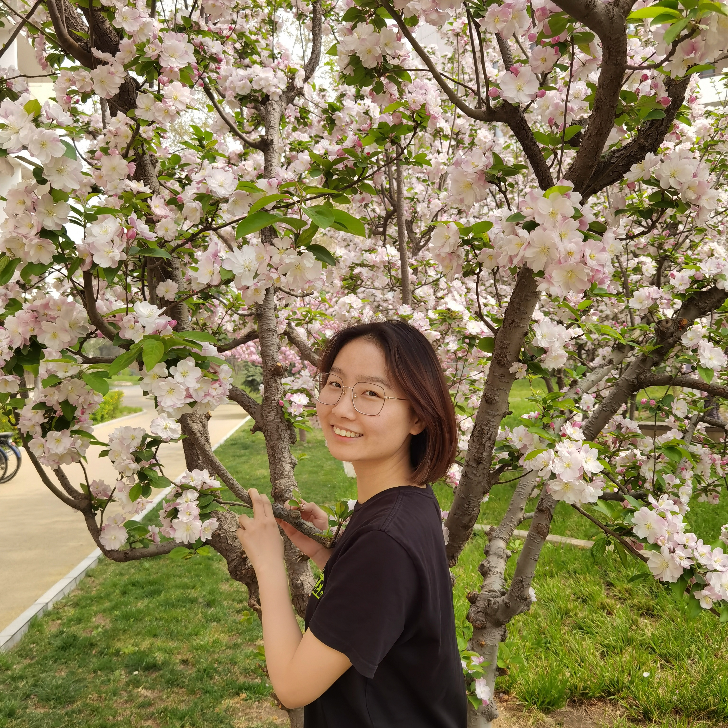 Lan Jiang（江澜）
